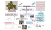 Iran J Pharm Res